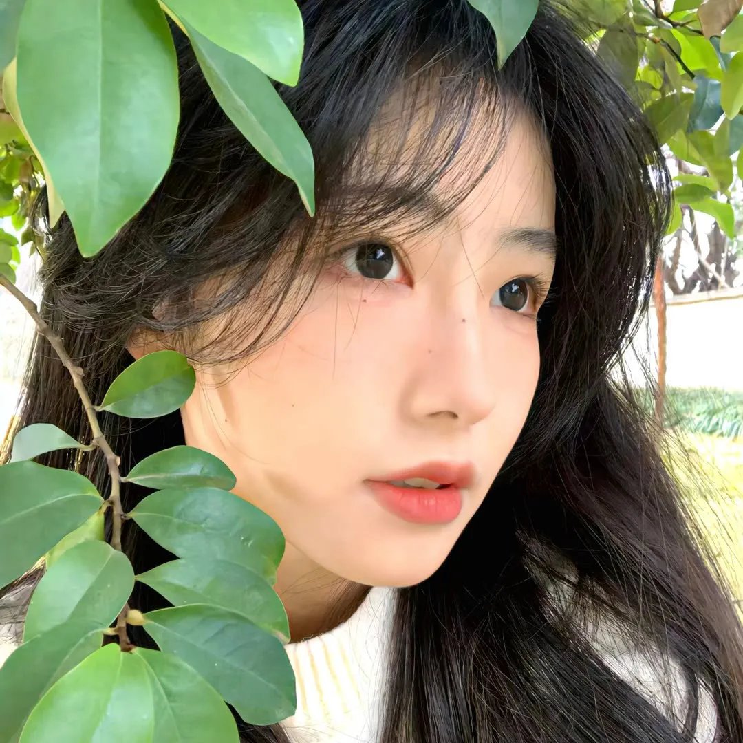 屋顶的公寓