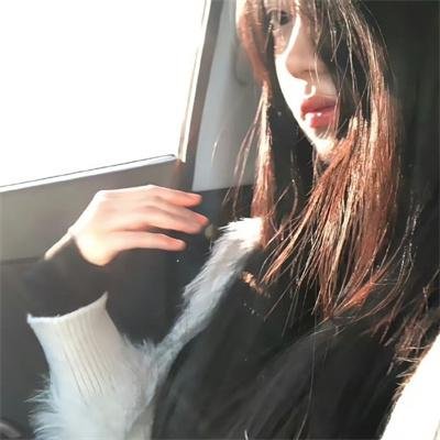 五香宫的猫